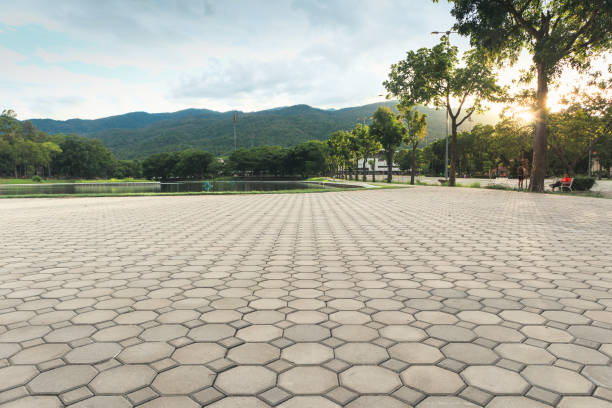 Best Affordable Driveway Paving  in Miller, SD